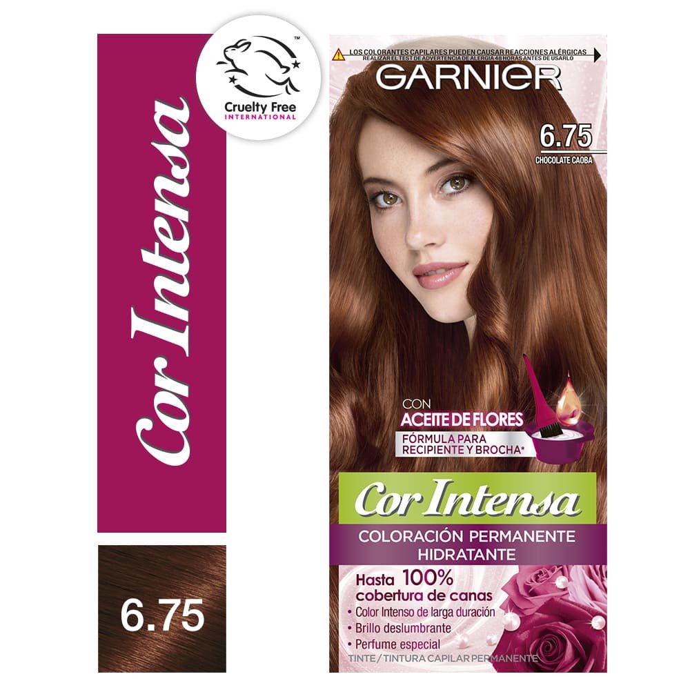 Caja de producto Garnier Cor Intensa, tono 675.